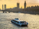 Thames-Clipper-wearing-Poppy.jpg
