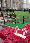 HRH-Crosses.jpg